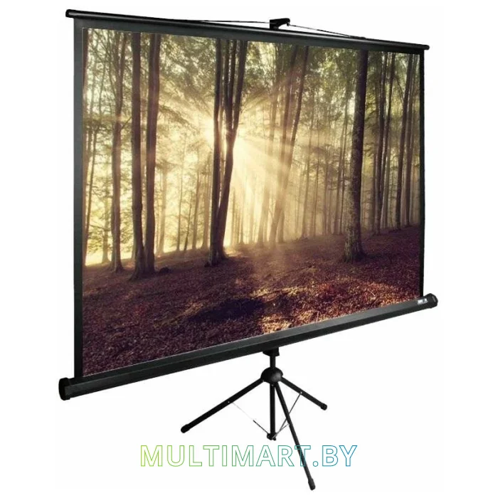 Проекционный экран CACTUS TriExpert 180x135 (CS-PSTE-180х135-BK)